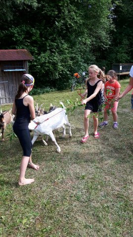 Sommer 2016 (5)